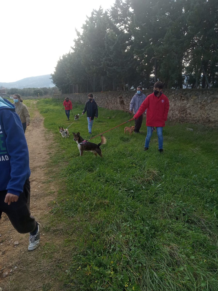 Scoutamanecer's tweet photo. Ayer nuestros pioneros realizaron un servicio en la Protectora de Animales de Plasencia

"El scout ayuda a los demás sin esperar recompensa", y  "el scout protege a la naturaleza y a los animales". https://t.co/AgB9LZxtxG