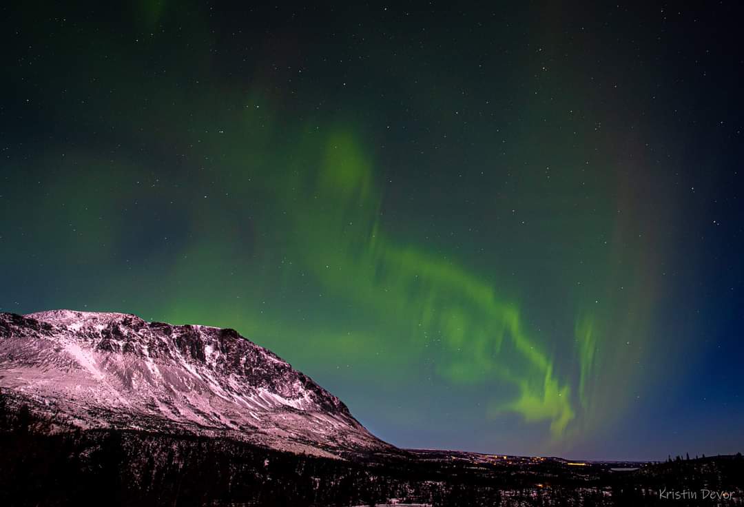 Jeg accepterer det mistænksom oprindelse Elusive Moose on Twitter: "#Aurora over Hemsedal 💚 Photo Kristin Devor  #Norway #northernlights https://t.co/kJphEot4aj" / Twitter
