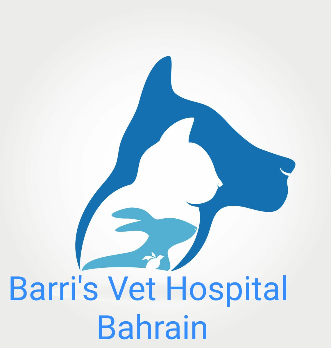 Barri Hamid tweet media