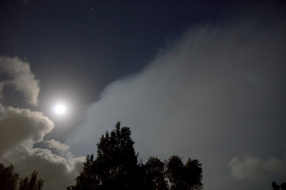 The volcanic ash cloud from Tonga has arrived in Queensland Australia!