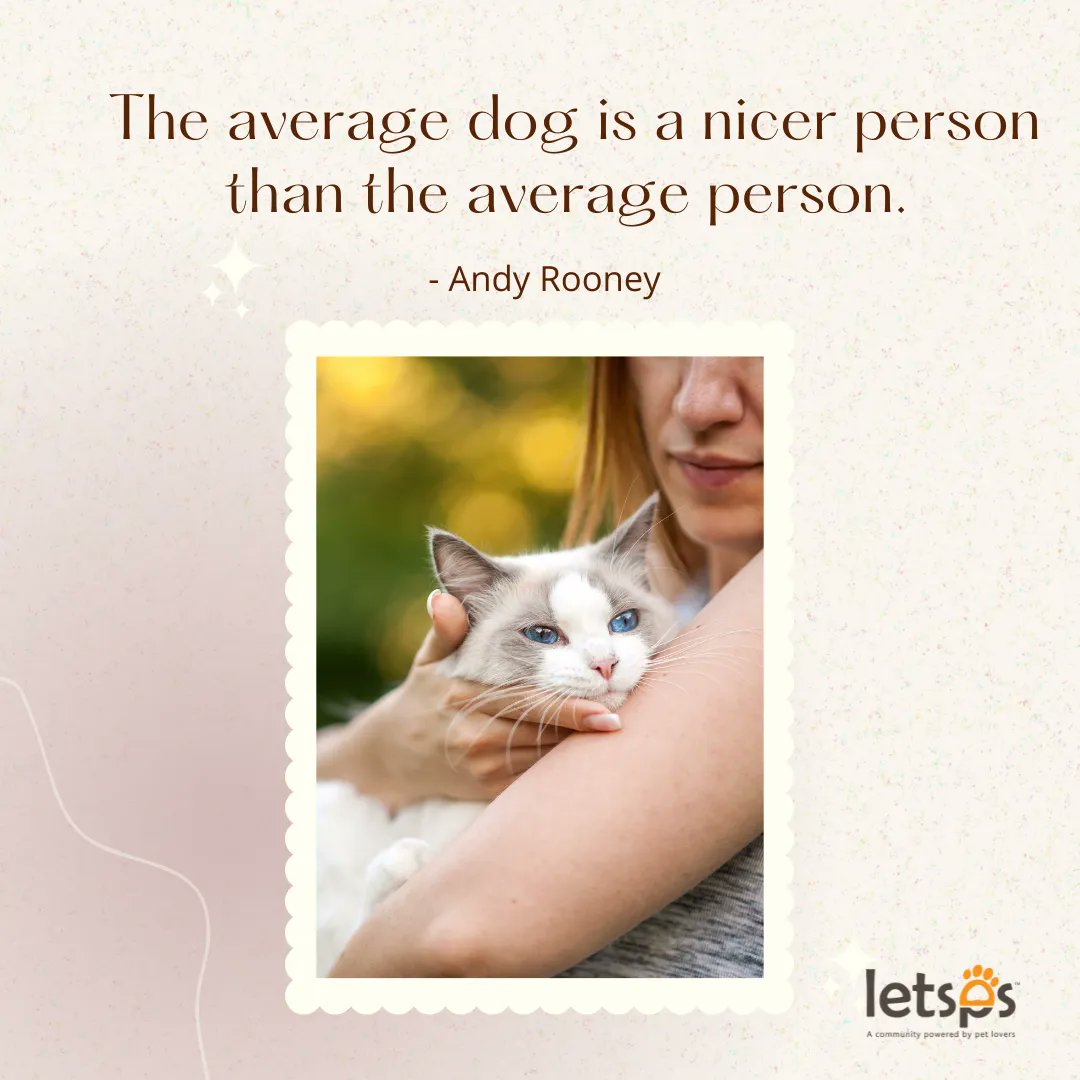 letsps_'s tweet image. Pets teach us about kindness and grace. 👌
-
-
#letsps #petcommunity #petsofinstagram #pets #petlovers #petfollow #follow #petcare #doglovers #pet #petfollowers #petnutrition #petevent #petfriends #petstagram