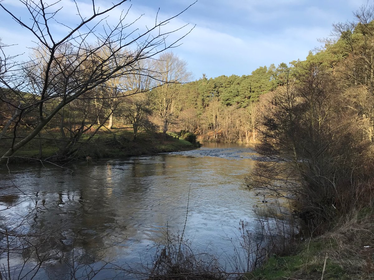 StayatThornton's tweet photo. Etal absolutely gorgeous today for a Sunday walk https://t.co/lbRXXOkuKe