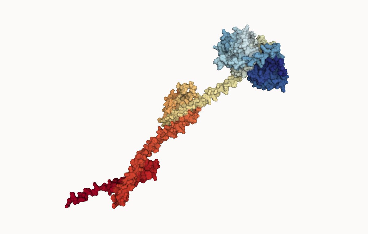 Generative Science.NFT tweet media