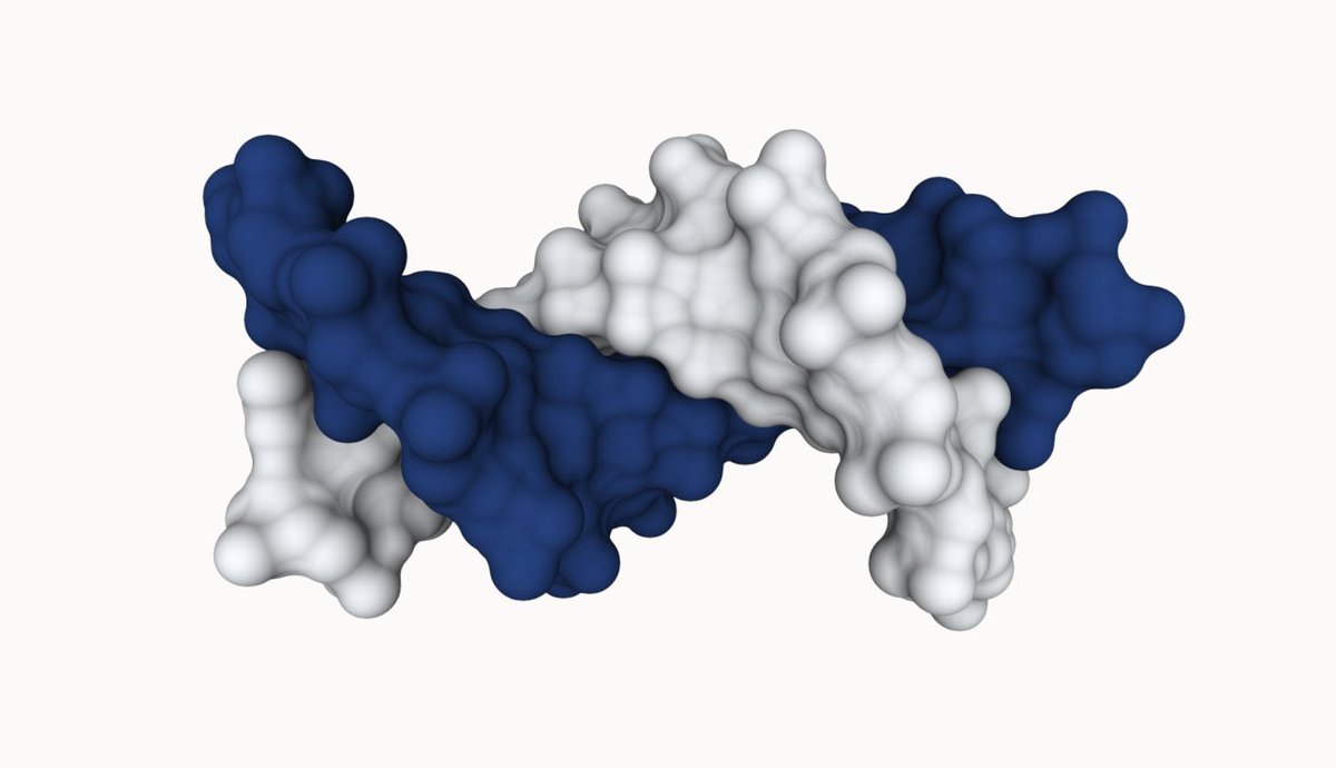 Generative Science.NFT tweet media