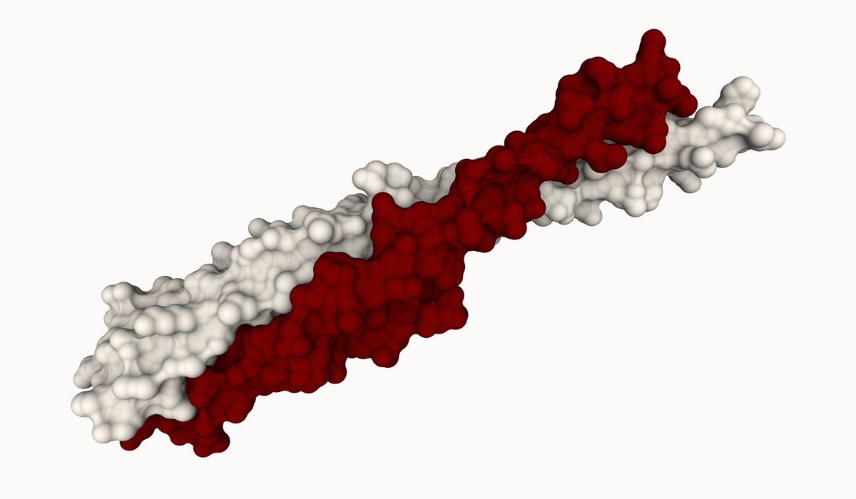 Generative Science.NFT tweet media