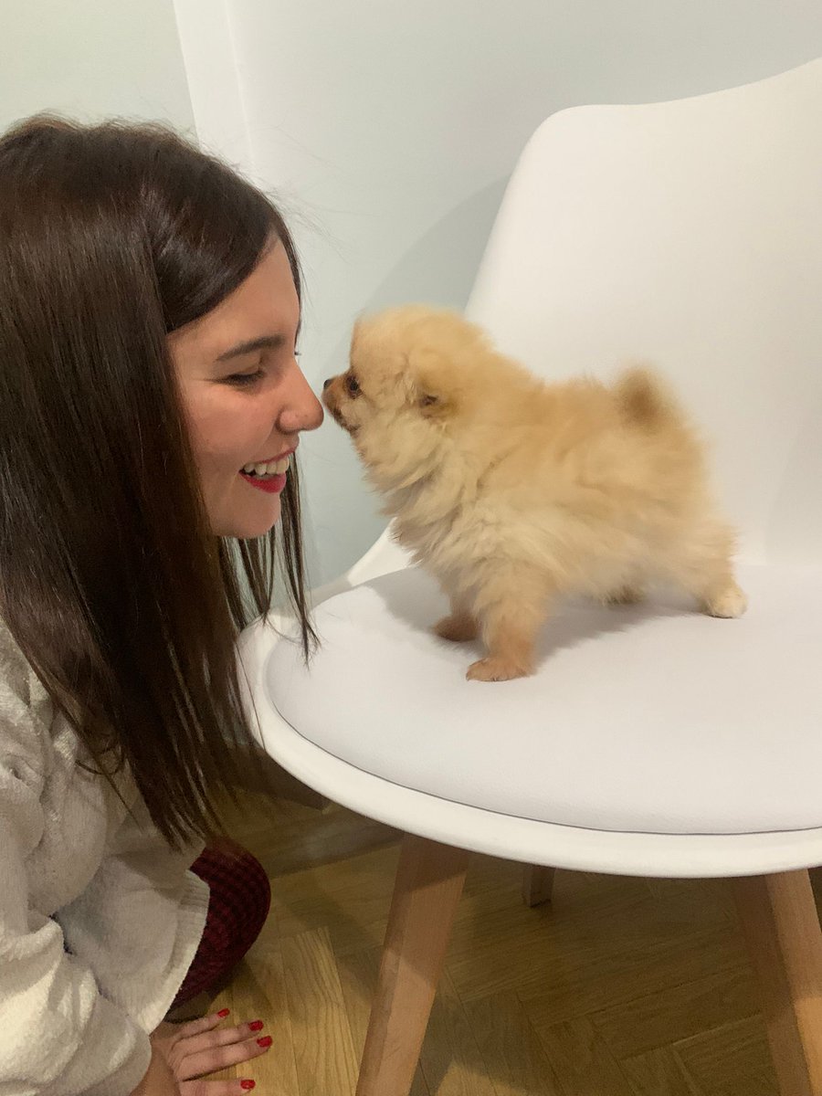 yoliyolandaa's tweet photo. Kira❤️ https://t.co/N2QyzSHIFb