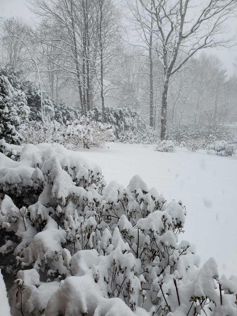 Hendersonville, NC near Mountain Home.   10am 1/16/22.   <a href="/JimCantore/">Jim Cantore</a> <a href="/weatherchannel/">The Weather Channel</a> <a href="/JasonBoyerWLOS/">Jason Boyer</a>