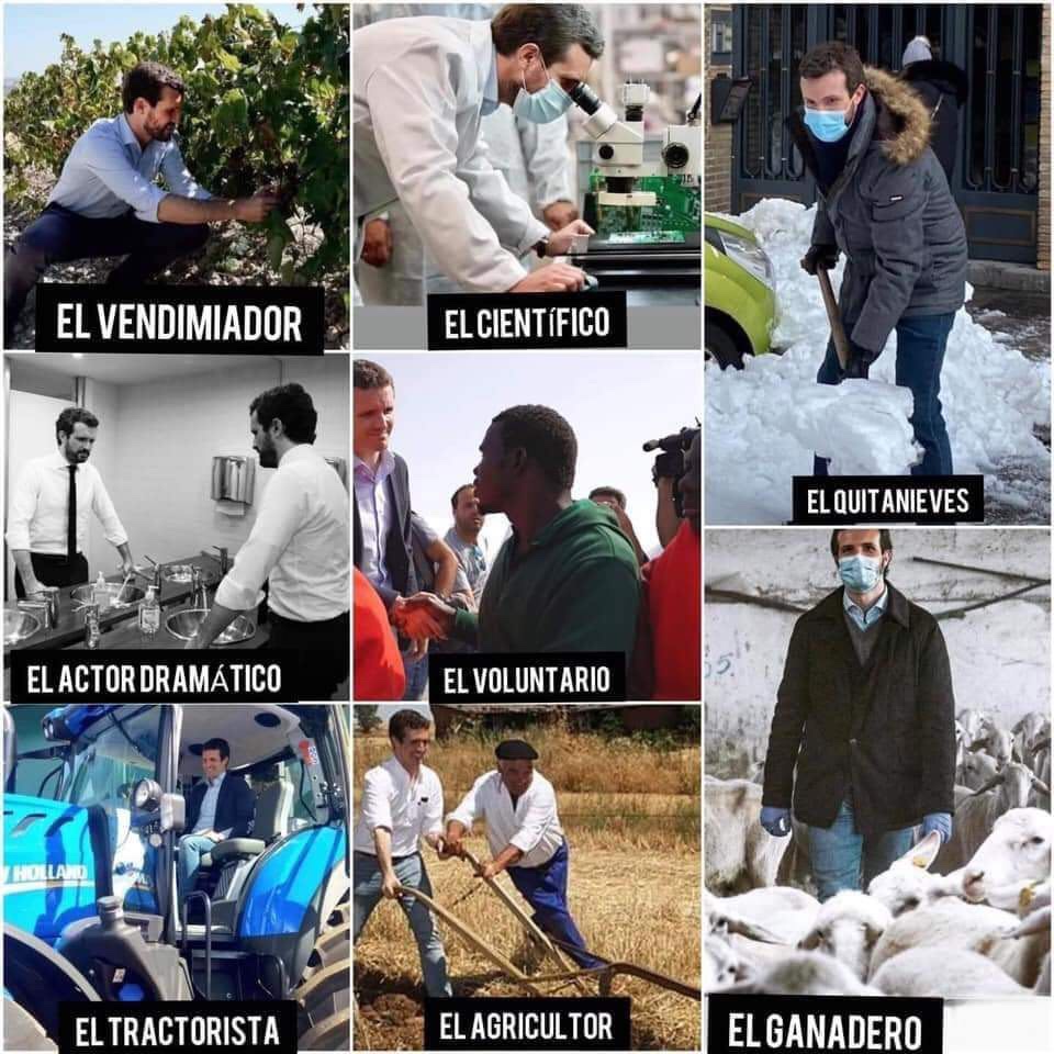 MartinaVelardeG's tweet photo. La vida de Casado es un invent 🤦🏻‍♀️ https://t.co/RlQaDU3Fw2