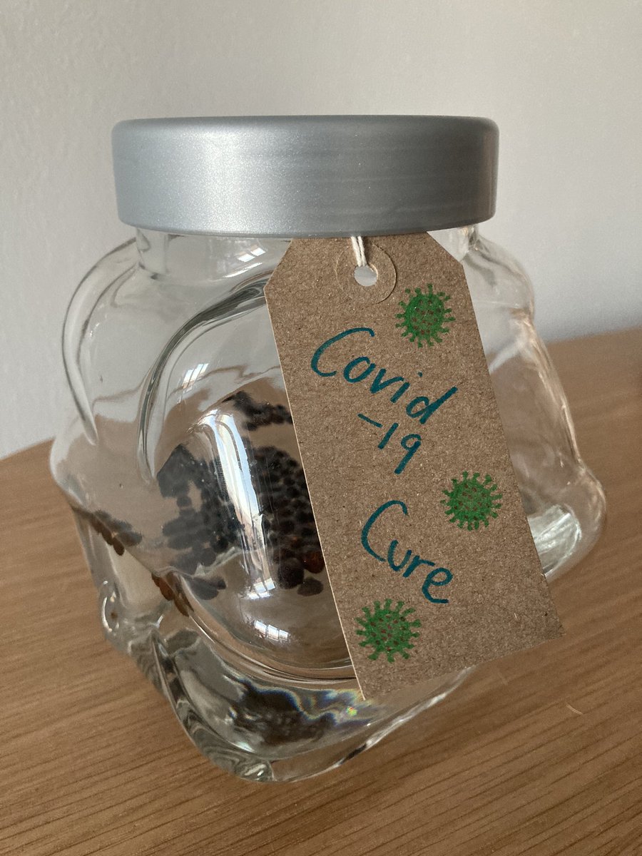 birt_cat's tweet image. I may be a #studentnurse isolating and missing my first placement, but I am using this time wisely to make my own gin and work towards the greater good 👍 #ginmaking #ihopeitworks