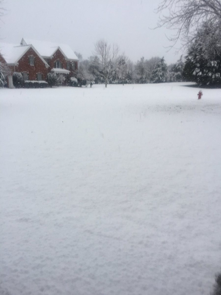 The Le Batard Lobos tweet media