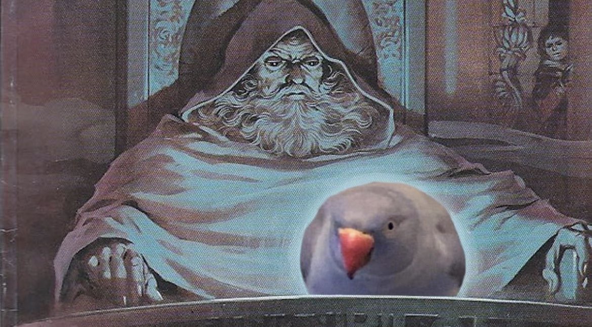 ThatRavenLad's tweet photo. Ponder the o r b

#birds https://t.co/lkoSV05ng6