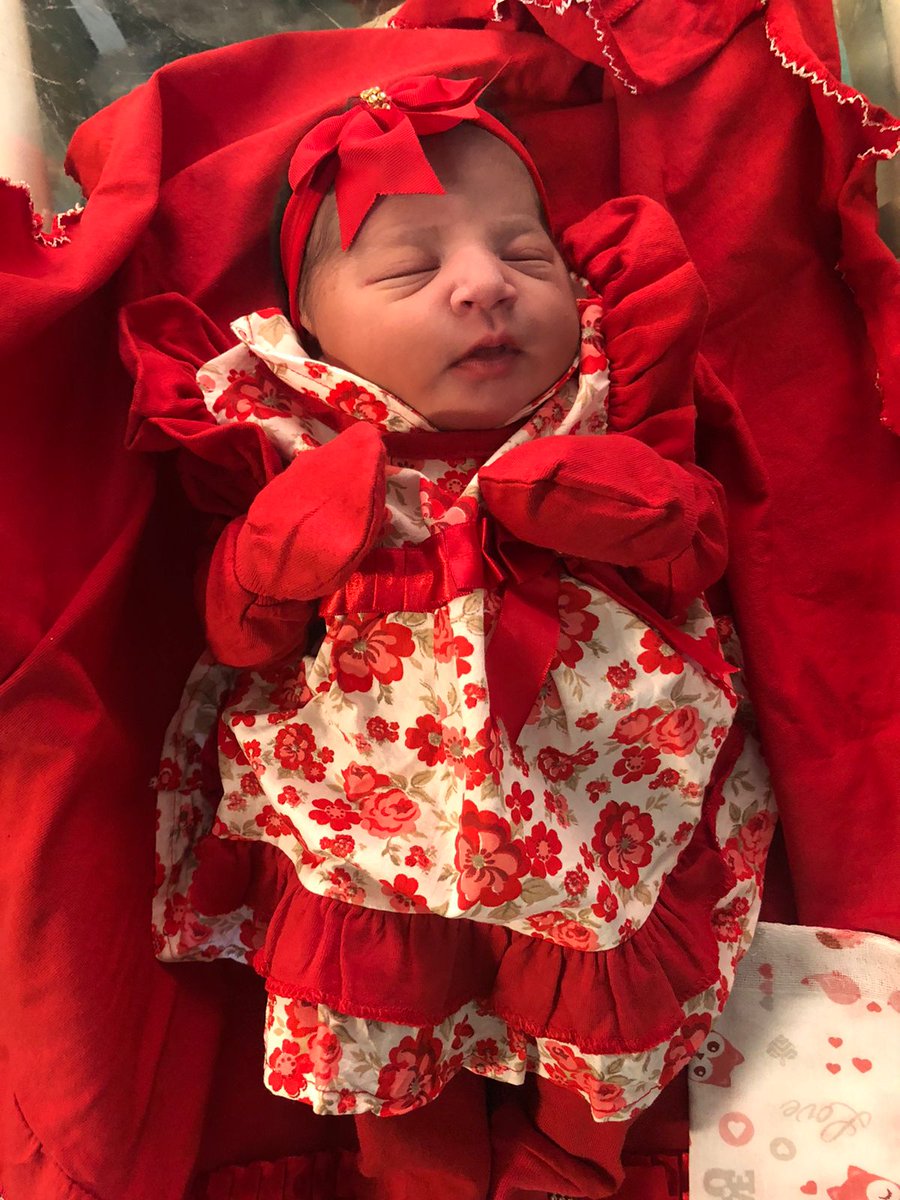 Karool3132's tweet photo. Apresento a vocês meu verdadeiro amor 🥰💜 https://t.co/3L5zkoF1kR