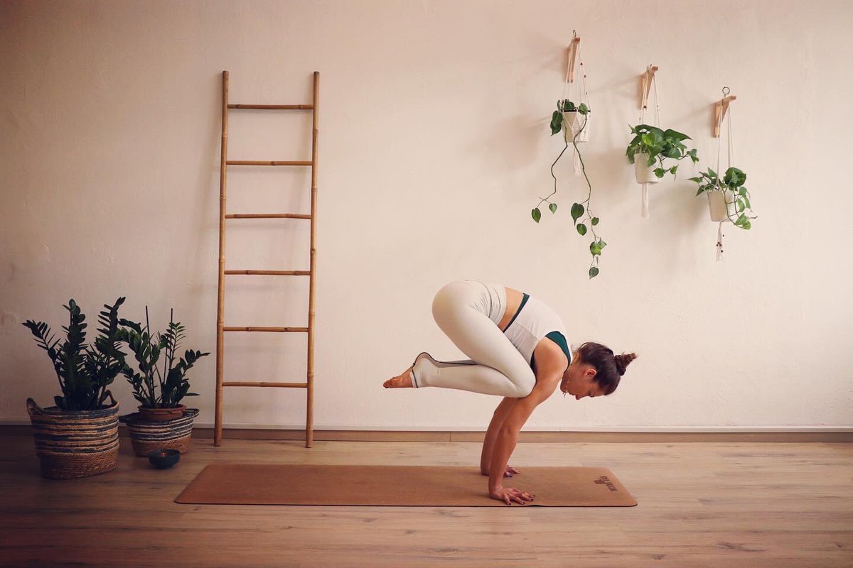 NiyamasMat's tweet photo. Practice and all is coming… 
👉 Shop online Eco Cork #yogamat 
https://t.co/mqAQsVai6W

#Athens #Greece #sundayvibes #yoga #yogashop #yogagirl #Yogi #yogalife #kalytera https://t.co/K6qlqMXWwo