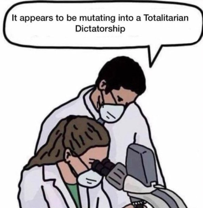 fritzendogstein's tweet photo. https://t.co/EseL715TI8