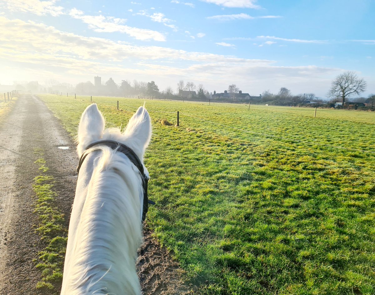 MrsLaneArt's tweet photo. Mind reset for the week ahead in the classroom! I've been desperate to get out in the cold frosty mornings for a ramble recently - was much milder today though....my favourite winter weather! #coldhacks #countryside ❤💕❄️❄️ https://t.co/mvrsQFaenI