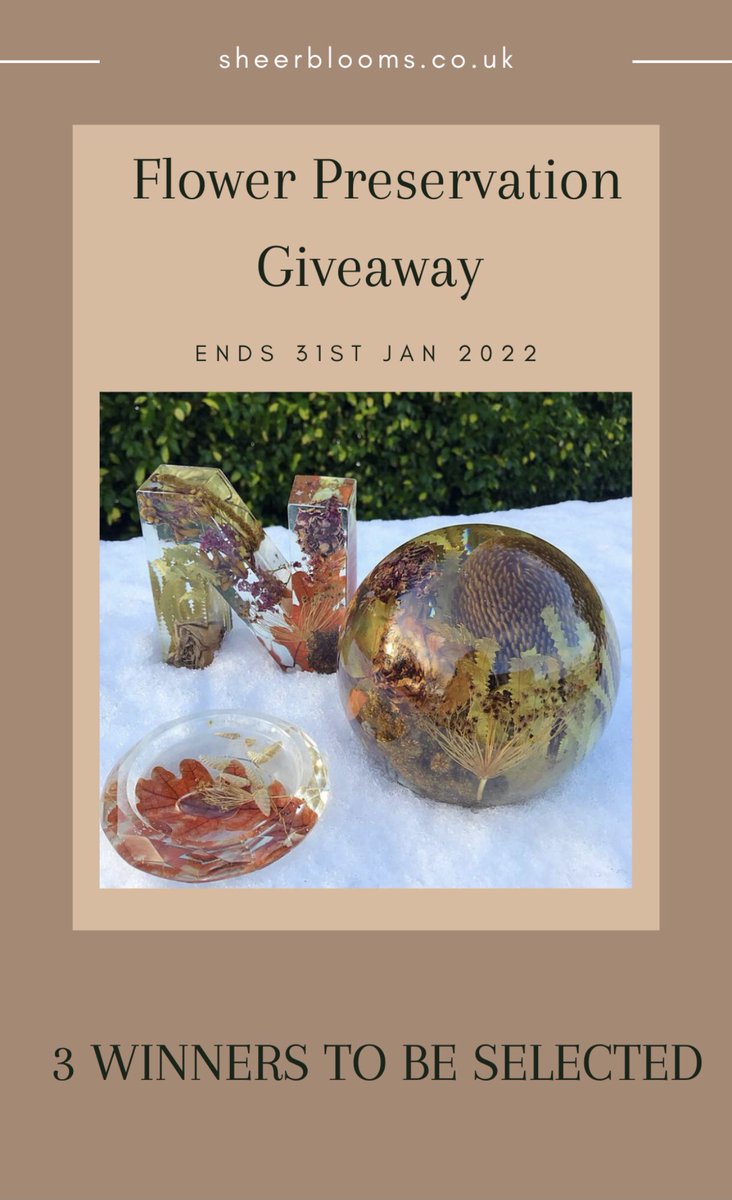 BloomsSheer's tweet photo. Are you a 2022 bride or know someone getting married this year? Why not enter this giveaway? Visit Instagram page - sheerblooms_ to enter. #competition #giveaway #UKGiftHour #gift #flowerpreservation #wedding #bridetobe https://t.co/zqXDQ4PYzv