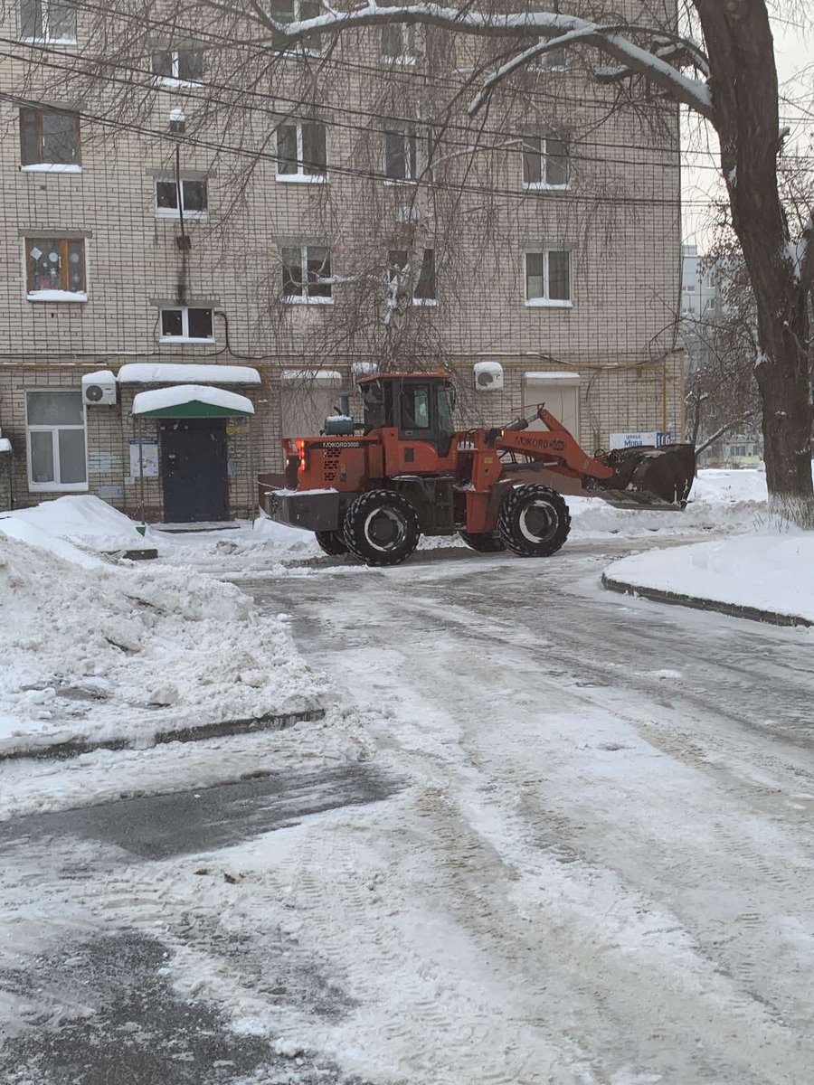 #Тольятти#Воскресник