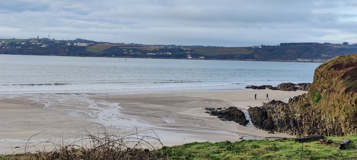 Day 16
#100daysofwalking 
@NTBreakfast 
Spotted 2 seals curious seals following a group of swimmers this morning! 
Whitebay Beach, Co Cork