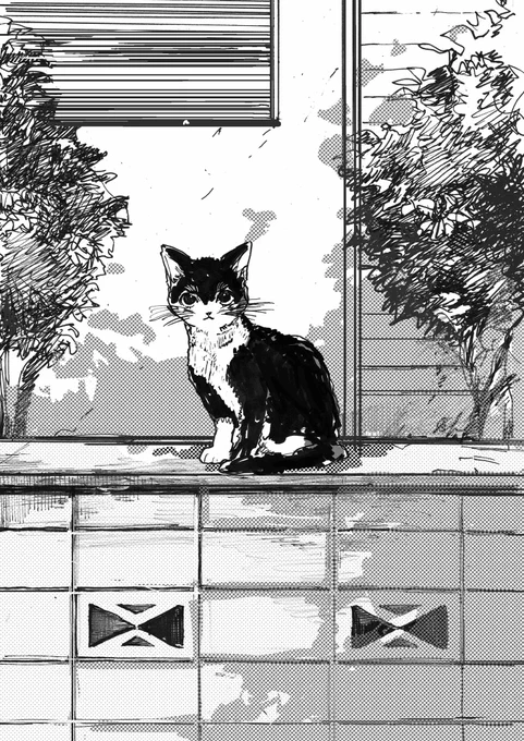 「ボク人間になったよ」 