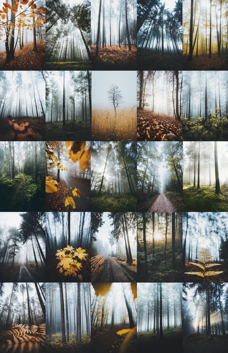 PhotosByMoners's tweet photo. WE ARE LIVE! 🌲 

Couldn’t be more excited about my first collection ever drop called „Forest Solitude“ on @opensea

25 of my favorite forest images I have taken in Germany over the last 5 years / 0.3 Ξ each

https://t.co/0mK7mDkn1u

#nftphotography #nftcollection #NFTCommunity https://t.co/52CRJ6jfKV