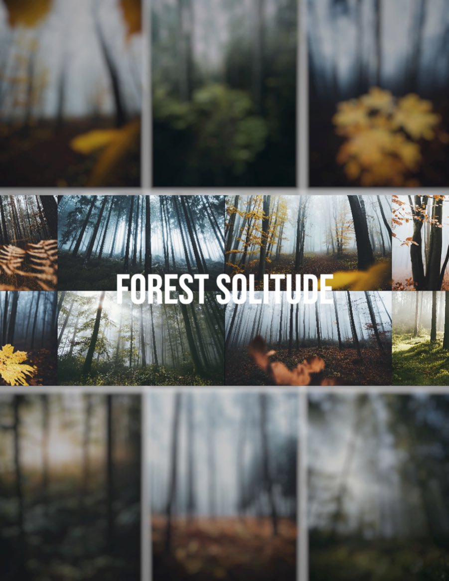 moners | Outdoor Photography from Germany (@photosbymoners) on Twitter photo WE ARE LIVE! ๐ฒ
Couldnโt be more excited about my first collection ever drop called โForest Solitudeโ on <a href="/opensea/">OpenSea</a>
25 of my favorite forest images I have taken in Germany over the last 5 years / 0.3 ฮ each
opensea.io/collection/forโฆ
#nftphotography #nftcollection #NFTCommunity WE ARE LIVE! ๐ฒ
Couldnโt be more excited about my first collection ever drop called โForest Solitudeโ on <a href="/opensea/">OpenSea</a>
25 of my favorite forest images I have taken in Germany over the last 5 years / 0.3 ฮ each
opensea.io/collection/forโฆ
#nftphotography #nftcollection #NFTCommunity