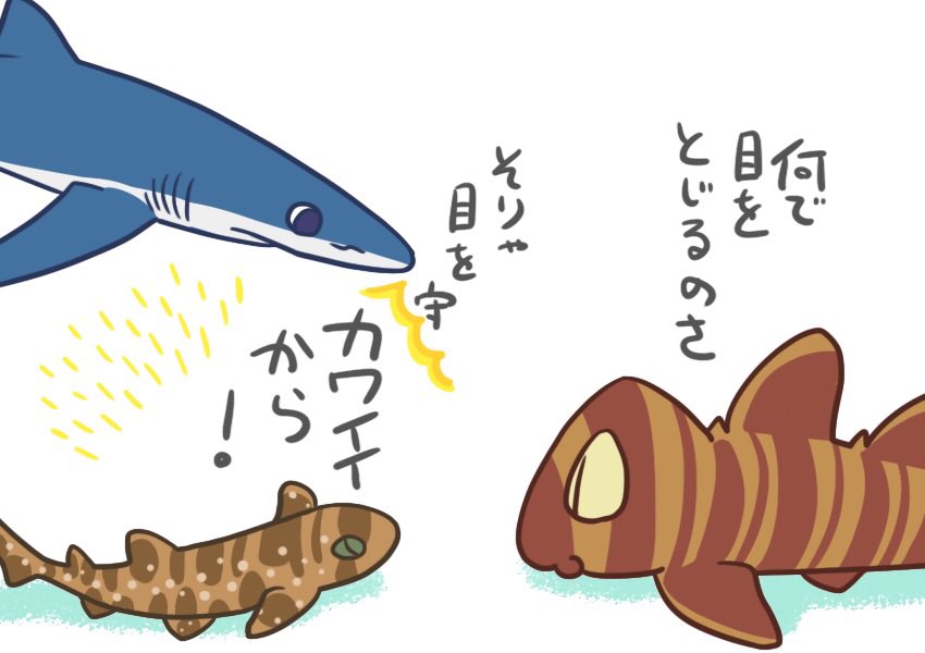 ネコザメ のイラスト マンガ作品 Twoucan ネコザメ のイラスト マンガ作品 Twoucan