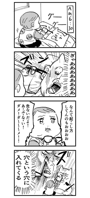 寝るとき眼鏡を枕元に置いとくととても危険 #育児漫画 #エッセイ漫画 #育児絵日記 