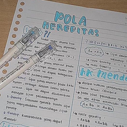 tarostudies's tweet photo. [16/01/22] % ‹𝟹  

hari ini ngerjain tugas fisika, terus seperti biasa nyatet materi utbk. &amp;&amp; i wrote something about my crush hehe omg i'm shyy (◍•ᴗ•◍), oiya aku juga lagi kecanduan lagu favorit girl by justin bieber (｡•̀ᴗ-)✧

btw semangat semua 𖤐 𓈒࣪  ᭡ ˖ ☄️ https://t.co/YOcFr1G0xo