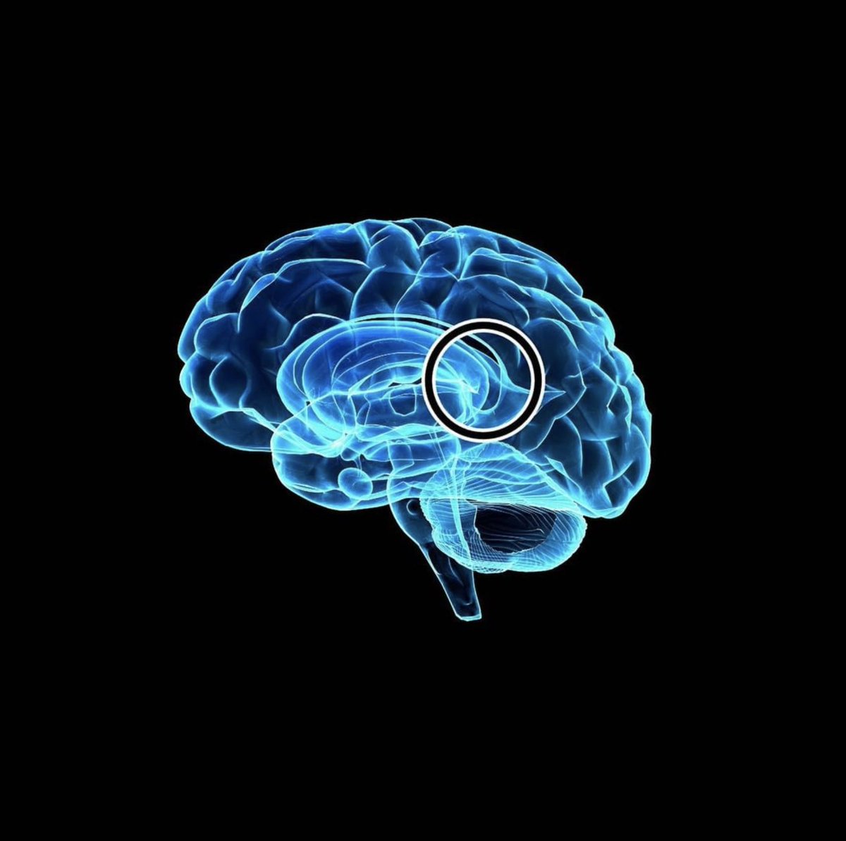 Easy On The Brain tweet media