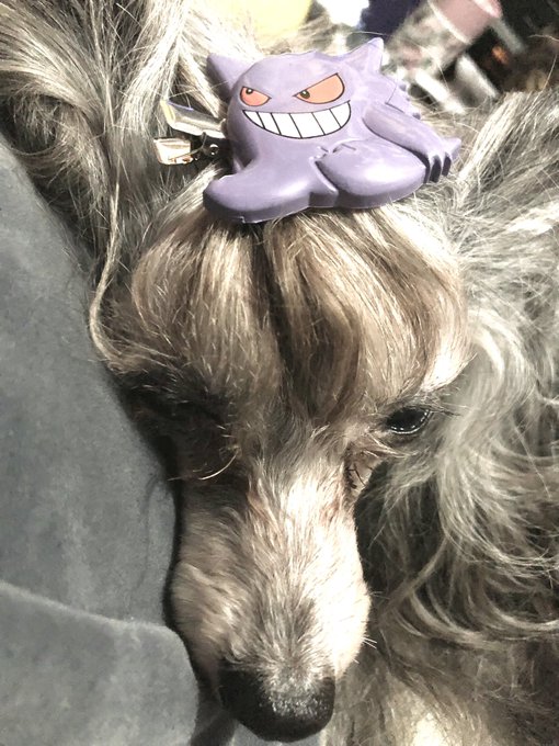 トップノットのtwitterイラスト検索結果