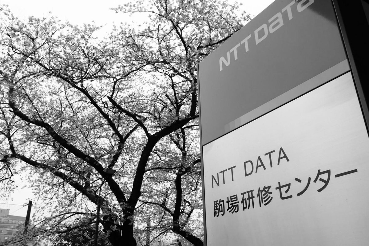 QuantumHermit tweet media