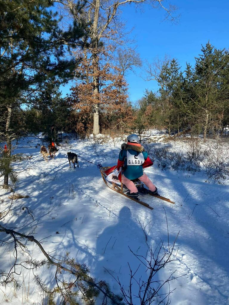 Jucketteracing's tweet photo. Good clean run yesterday 2min 9 seconds behind the leader buti honestly think she didn’t fly through all the turns to keep everyone safe!! Her form from watching and miles on the sled is looking great this turn was a great example!! #jucketteracing https://t.co/8nQsGUnjeu https://t.co/AwvXrOgVJY