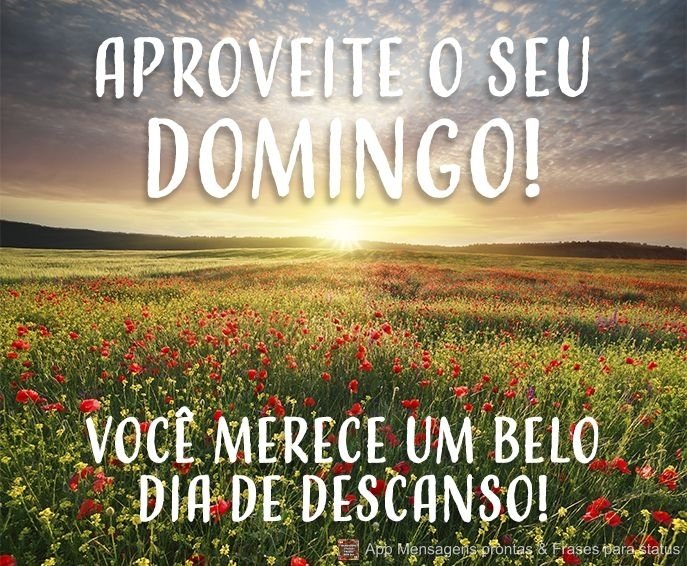 Rafael Moia Filho tweet media