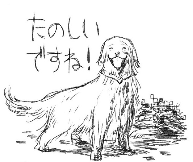 歯切れ悪い理由は、皆さんお解りでしょうて 