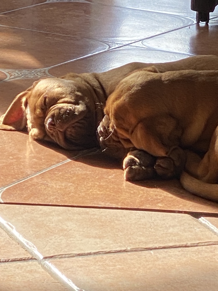 Olav Mol®️ tweet media