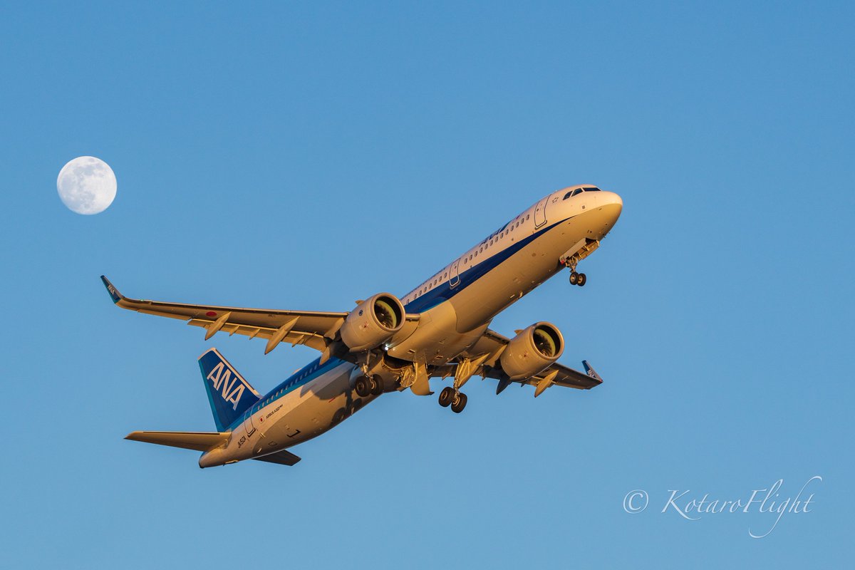 KotaroFlight's tweet photo. 久しぶりに羽田イノベーションシティで撮影しました☺️夕陽がA321Neoを紅く染めてくれました👍
#Aviation #Photograph #HND #RJTT #RWY22 #羽田 #ANA #NH1095 #A321 #JA150A #ソラマニ_ヒコーキ
🗓2022/01/16✈ https://t.co/d1fvnKFKFM