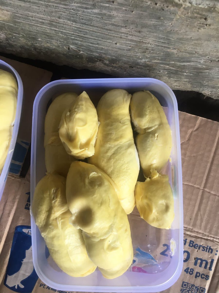 Triya2727's tweet photo. Bismillah...jumat berkah...Ayo yg ada di wilayah sumedang,bandung,jumat jadwal rutin kirim bandung yg mau pesan bibit semua tanaman,buah duren lokal utuh atau kupas sama emping melinjonya DM kami dari sekarang🙏❤️ https://t.co/ujBpat7MGW