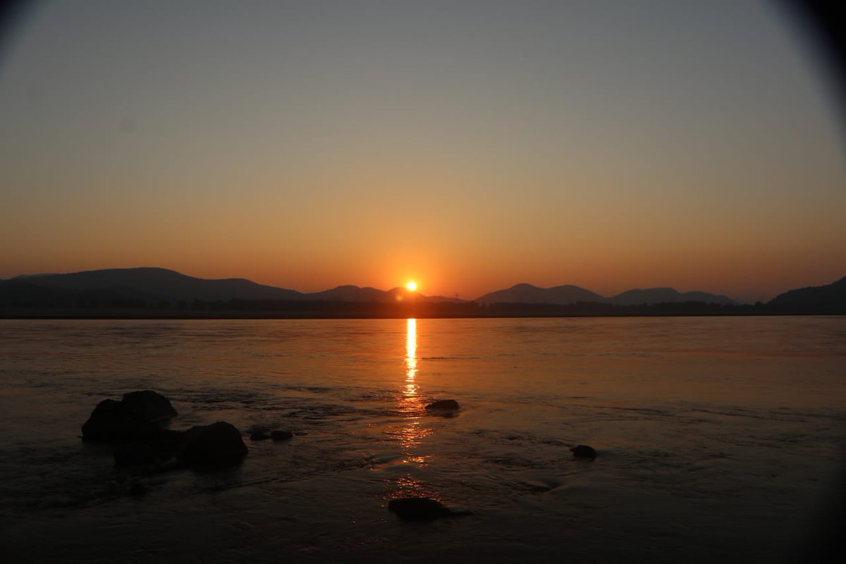 bimal1966's tweet photo. When Sunset is with a #gharial in #Mahanadi, it's always a hope for new beginning...    
PC Dr.Rajesh

#CriticallyEndangered #Odisha #SpeciesRecoveryProgram 
#Satkoshia https://t.co/YBqpwWMmOx