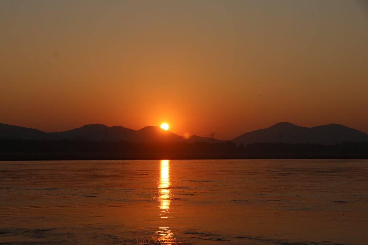bimal1966's tweet photo. When Sunset is with a #gharial in #Mahanadi, it's always a hope for new beginning...    
PC Dr.Rajesh

#CriticallyEndangered #Odisha #SpeciesRecoveryProgram 
#Satkoshia https://t.co/YBqpwWMmOx