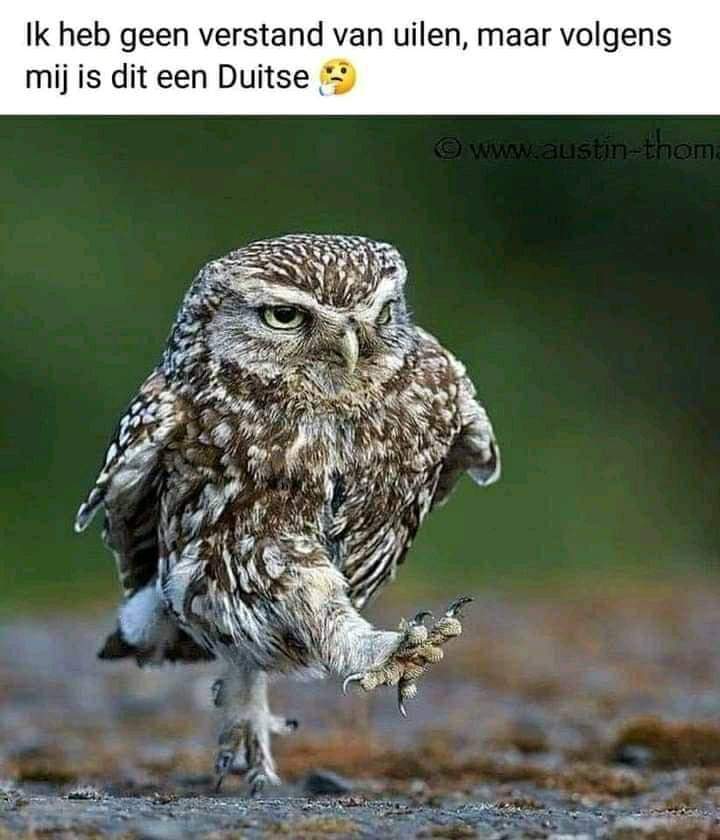 Robert de Boer tweet media