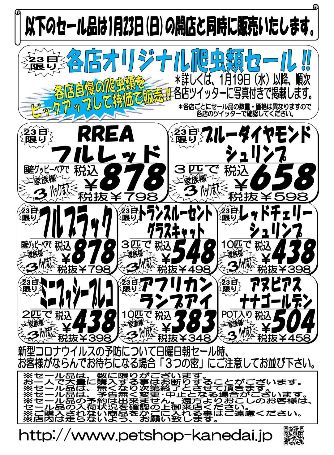 かねだい横浜店 Kanedaiyok Aqua Twitter