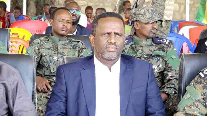 They are the descendants of Sayid Abdille, Garaad W/ Waal, R/ugas and A/Gurey. they inherited from their forefathers the courage to defend their religion, country and people. When their leader well knows the history and direction of their ancestors he jumps as a lion <a href="/raage_d/">Mubashir D Raage</a>.