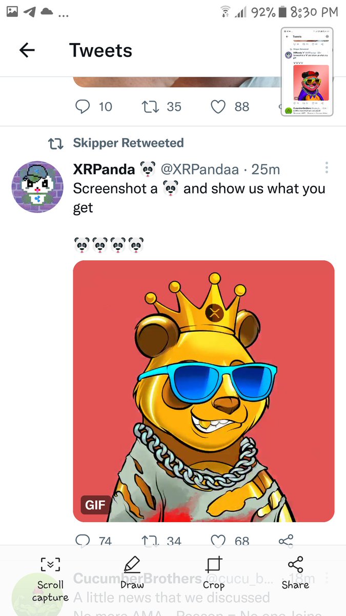DazaWarren's tweet photo. @XRPandaa @skipper_xrp https://t.co/9pWfQKQcF3