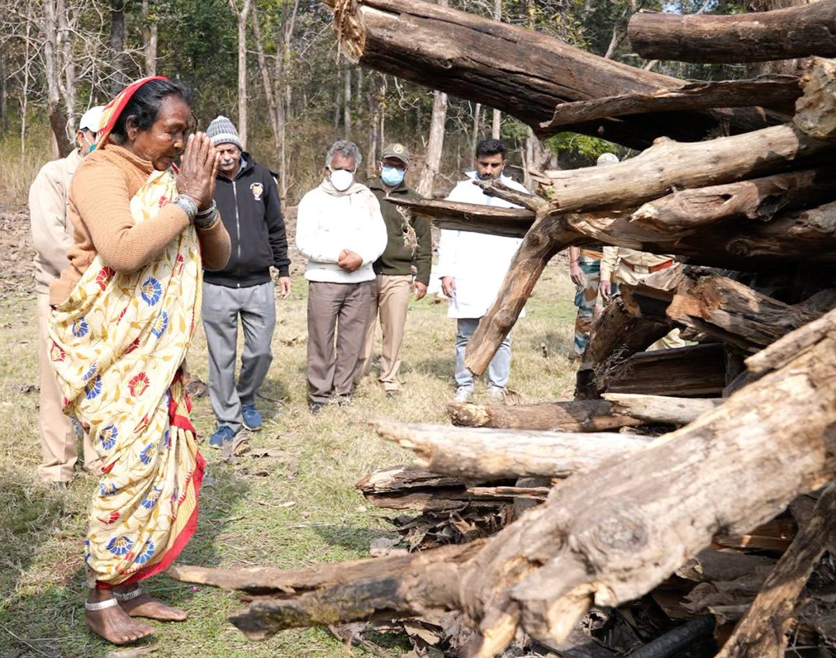 AditiGargIAS's tweet photo. RIP, Queen of Pench. You lived long and majestically. You ruled the food chain and because of you an entire forest was alive. #collarwali 

‘Tiger Tiger, burning bright, 
In the forests of the night; 
What immortal hand or eye, 
Could frame thy fearful symmetry?’~ William Blake https://t.co/K3gsF0eWef