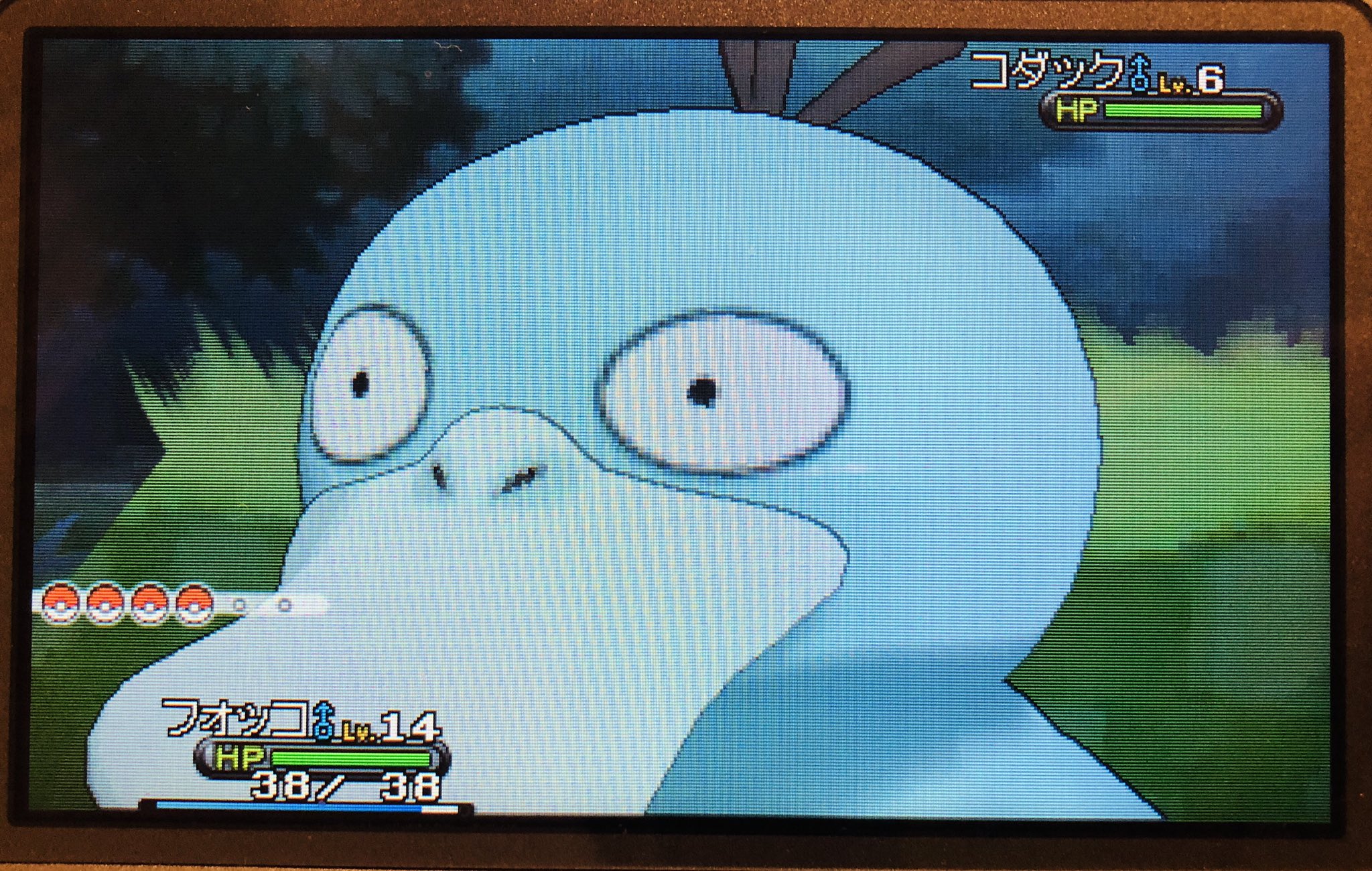 ポケモンxｙ Twitter Search Twitter