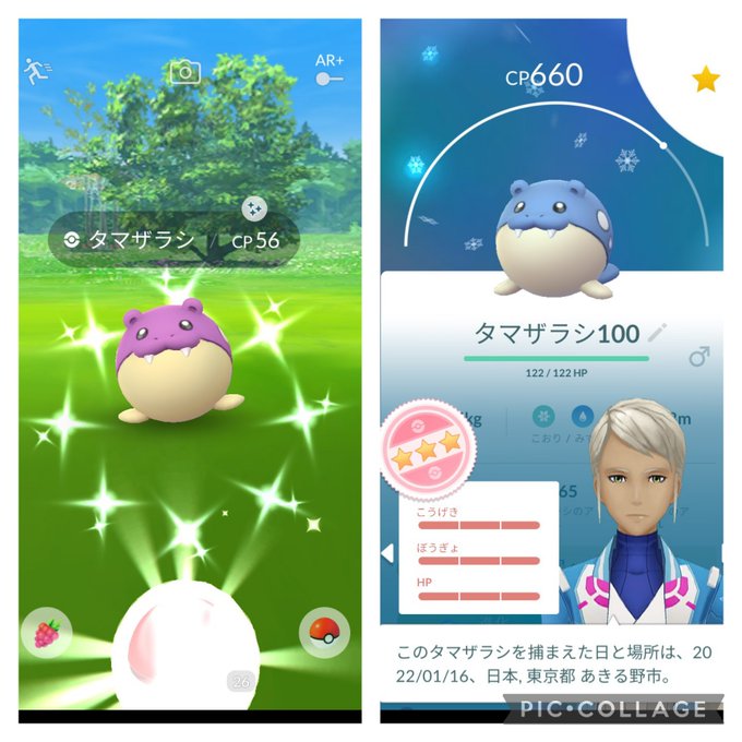 ポケモンgoで タマちゃん が話題に ポケgo トレンディソーシャルゲームス