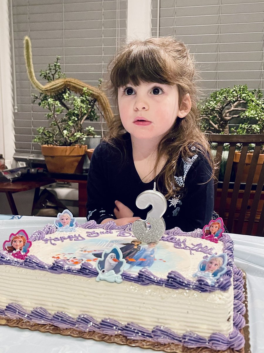 flickitfar's tweet photo. Happy 3rd Birthday Lilly ! We love you Lillian, β€οΈππ, and hope you had a wonderful day. w/ @la_lafferty #LilLaff #HayHayLaff https://t.co/GAzyyitjzH