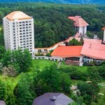 ツイートに含まれる画像