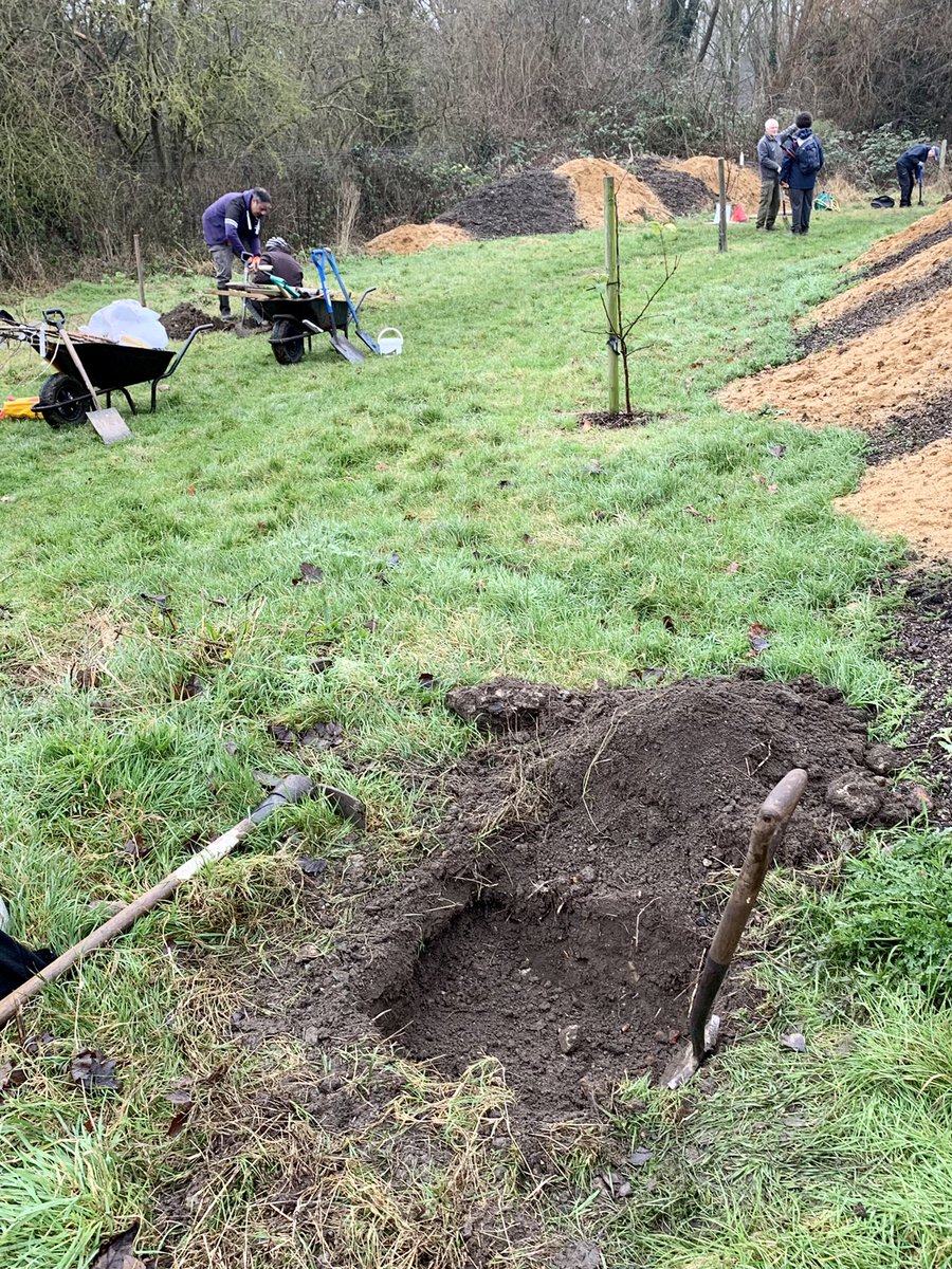 Second Bite of the Apple:
Assisting &amp; guiding the reserve warden and volunteers today; planting additional fruit trees at Roxy Community Orchard which is slowly taking shape.