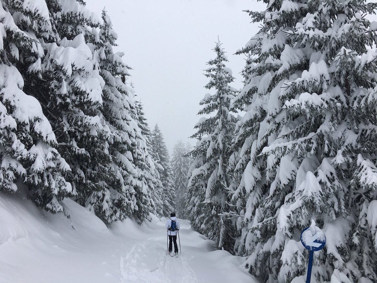 Ddukescon's tweet photo. In #Bregenzerwald we explored quite a few small to medium sized #ski resorts. The first resort, open from early December, was #Boedele, the “Hausberg” of the #Rhine Valley towns, just 30 mins from #Bregenz. Heavy snow meant great powder and few people. https://t.co/MwSSOegh7I